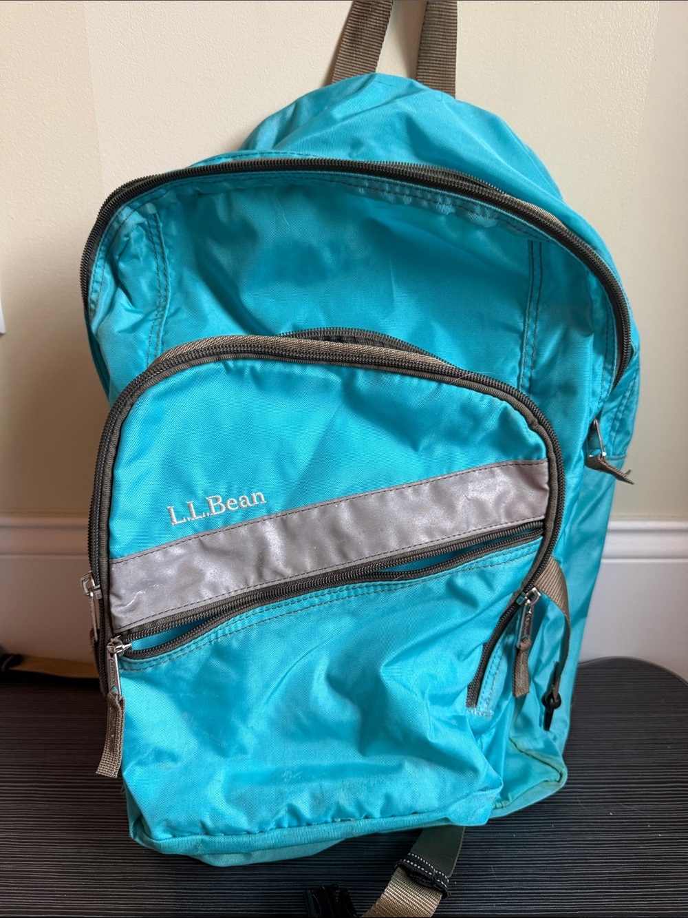 L.L. Bean Turquoise Backpack with Silver Reflective Accent